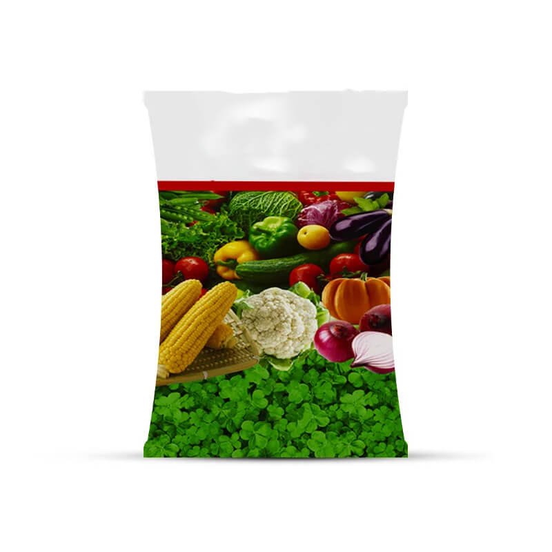 Shipra Seeds